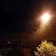 白蟻危害大，4-6月份進(jìn)入其活躍期 防治白蟻不容忽視！